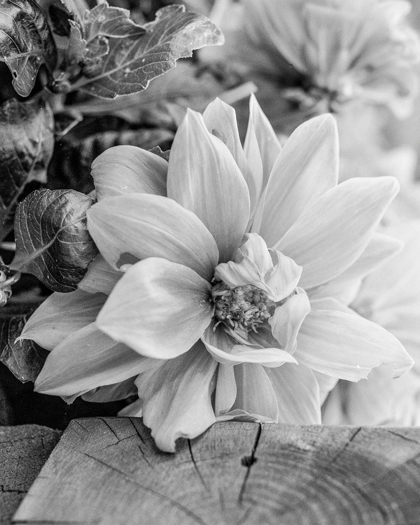 Featured Artist: Tim Williams